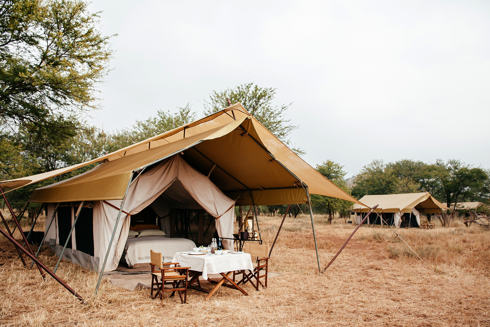jungle tent