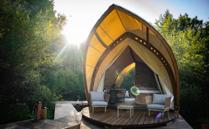 STROHBOID_Waldtherapiezentrum_Glampings Wald Sonnenschein.jpg STROHBOID_Waldtherapiezentrum_Glampings Wald Sonnenschein.jpg