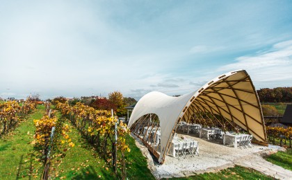 STROHBOID_Träumerei_Hochzeitspavillon im Weingut