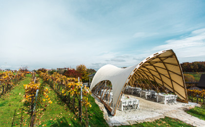 STROHBOID_Träumerei_Hochzeitspavillon im Weingut STROHBOID_Träumerei_Hochzeitspavillon im Weingut