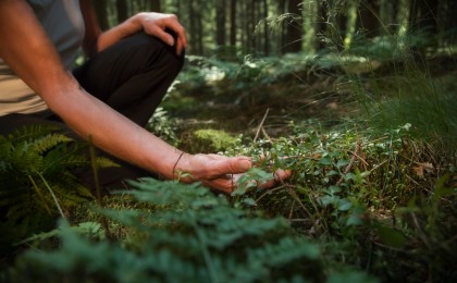 Retreat Unterkünfte für Betreiber – Natur erleben