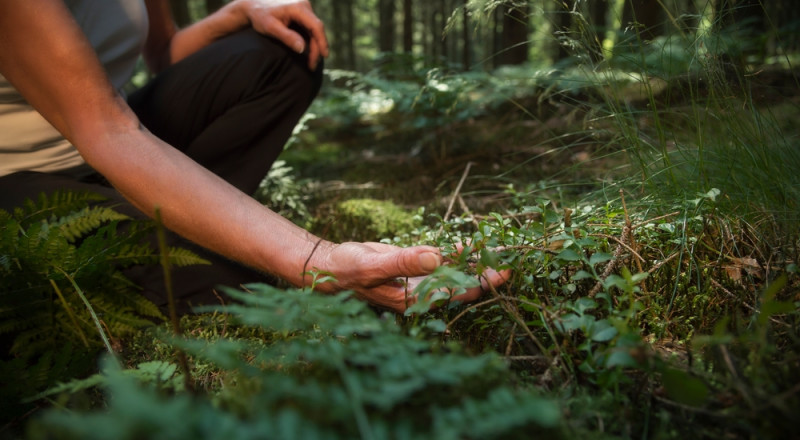 Retreat Unterkünfte für Betreiber – Natur erleben Retreat Unterkünfte für Betreiber – Natur erleben