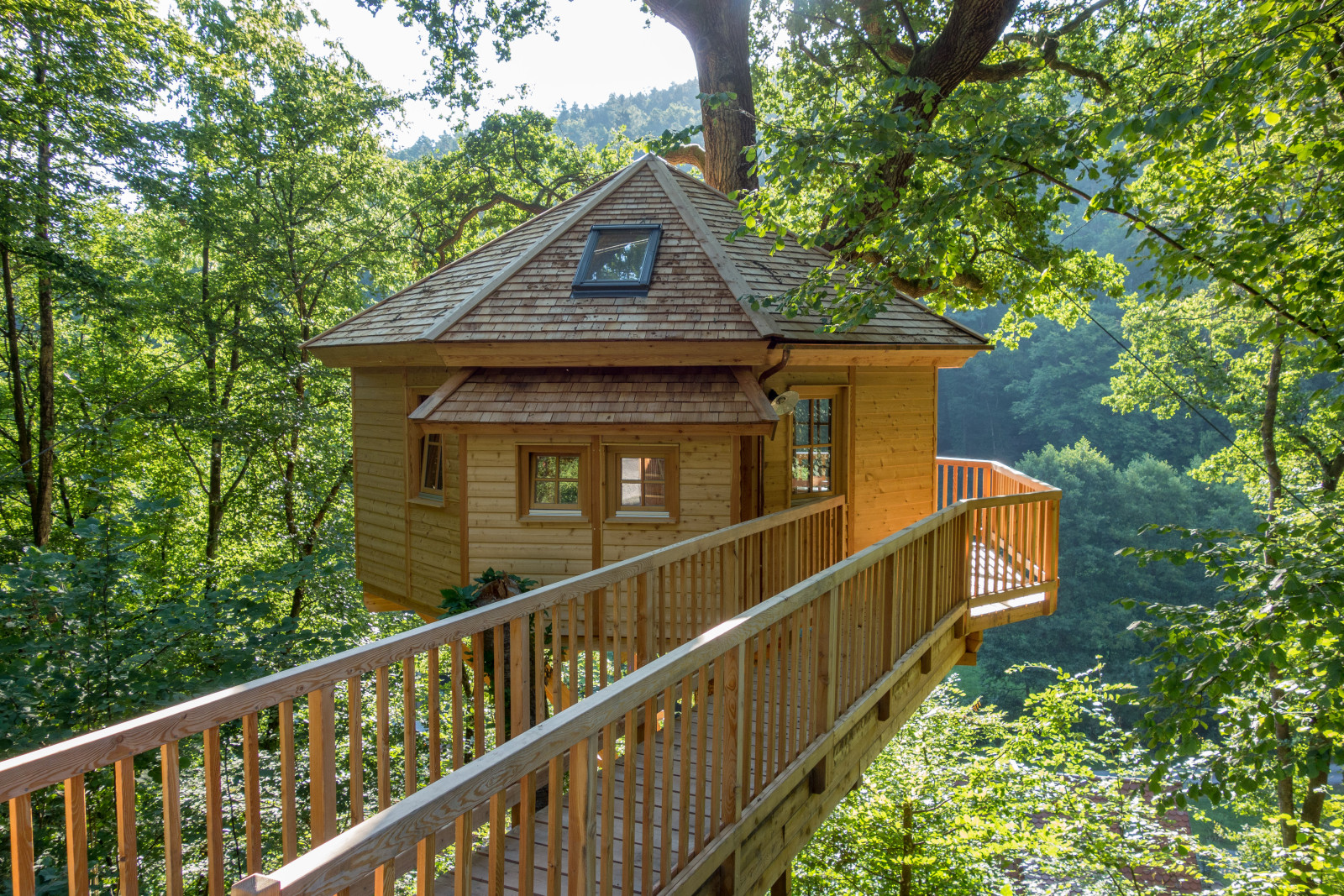 Baumhaushotel Seemühle die besten Glampingresorts Baumhaushotel Seemühle die besten Glampingresorts