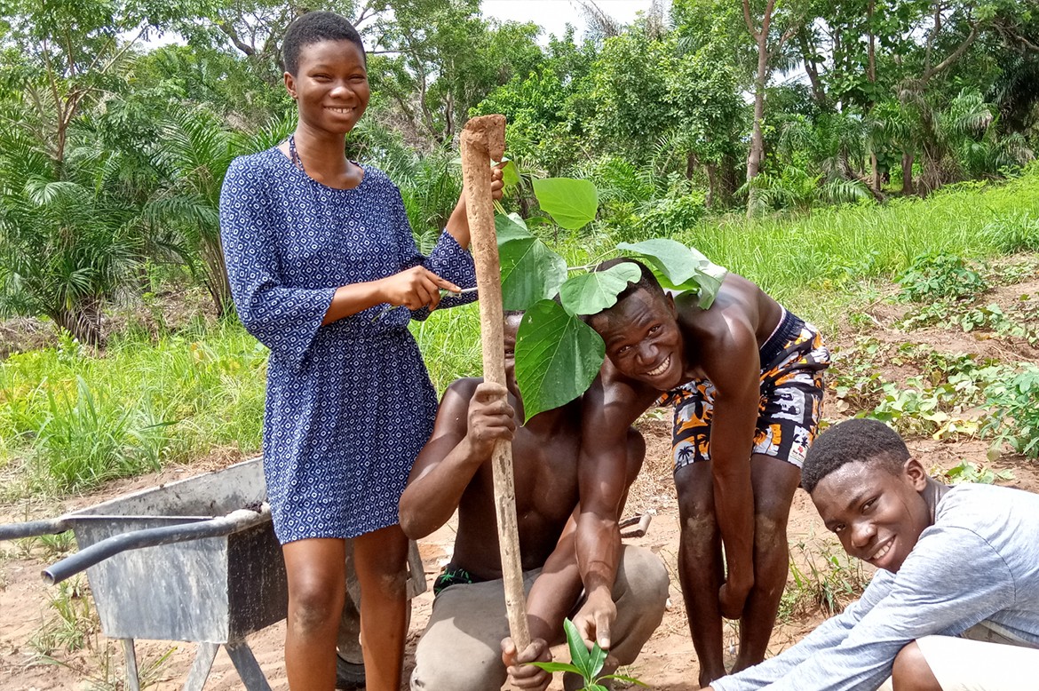 Reforesting in Ghana click a tree Strohboid
