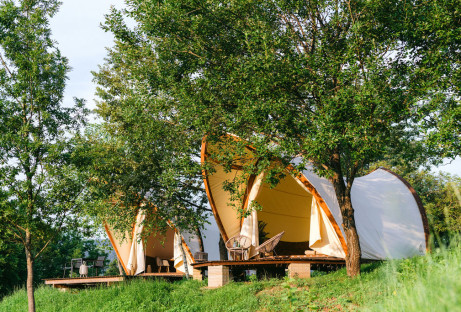 ZenZone-12 ZenZone-12