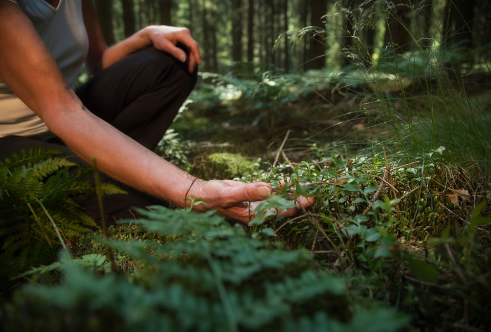 Retreat Unterkünfte für Betreiber – Natur Retreat Unterkünfte für Betreiber – Natur
