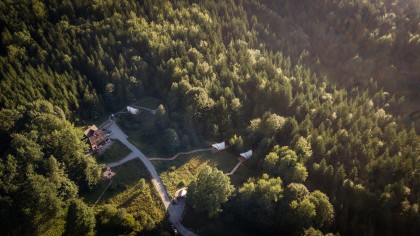 STROHBOID_Waldtherapiezentrum_Glampings Wald mit Umgebung.jpg