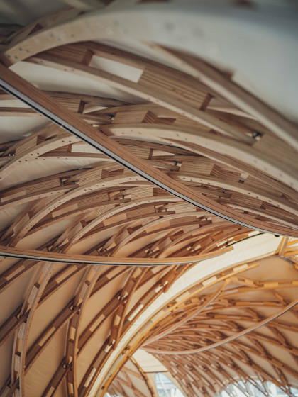 Strohboid_Oberpflaz_-32