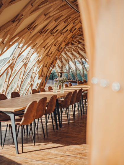 Strohboid_Oberpflaz_-18 (1) Strohboid_Oberpflaz_-18 (1)