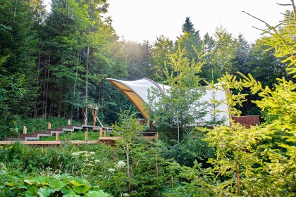 STROHBOID_Waldtherapiezentrum_Glamping im Wald.jpg