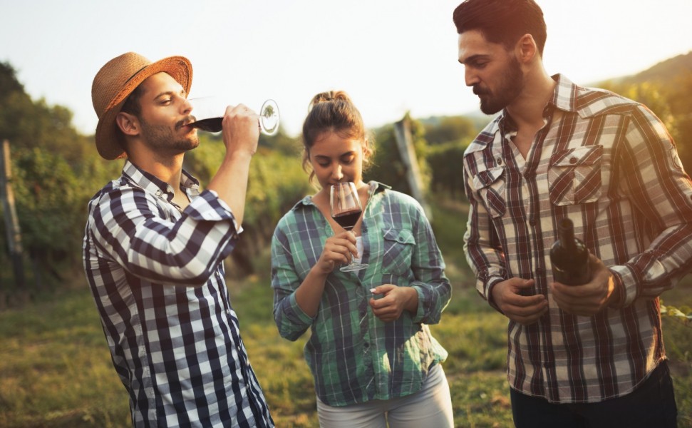 Gemütliche Outdoor-Lounge für Ihre Weinverkostung