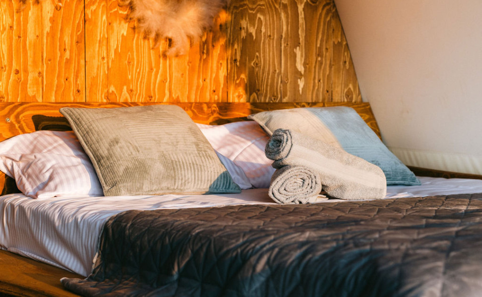 ZenZone-29 ZenZone-29