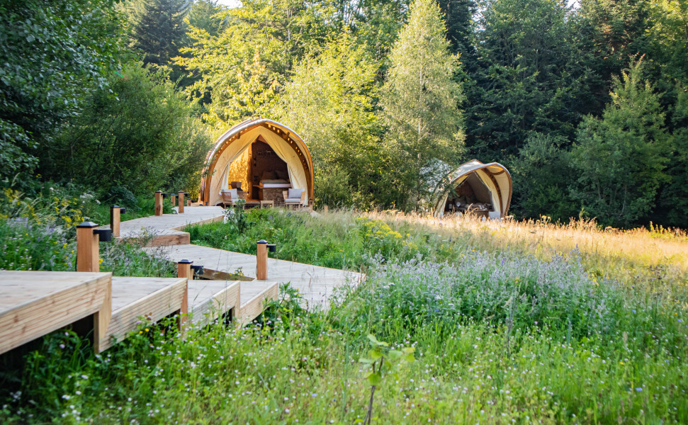 Glamping Resort Glamping Resort