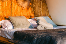 ZenZone-29 ZenZone-29